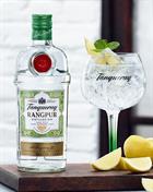 Gin och tonic med Tanqueray Rangpur Premium Gin
